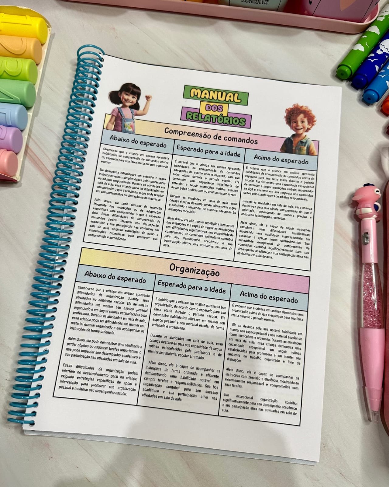 Manual dos Relatórios - Imagem 3