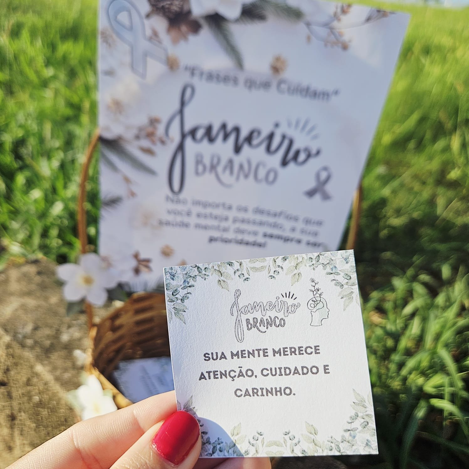 Janeiro Branco Cesta do Cuidado Emocional - Imagem 3