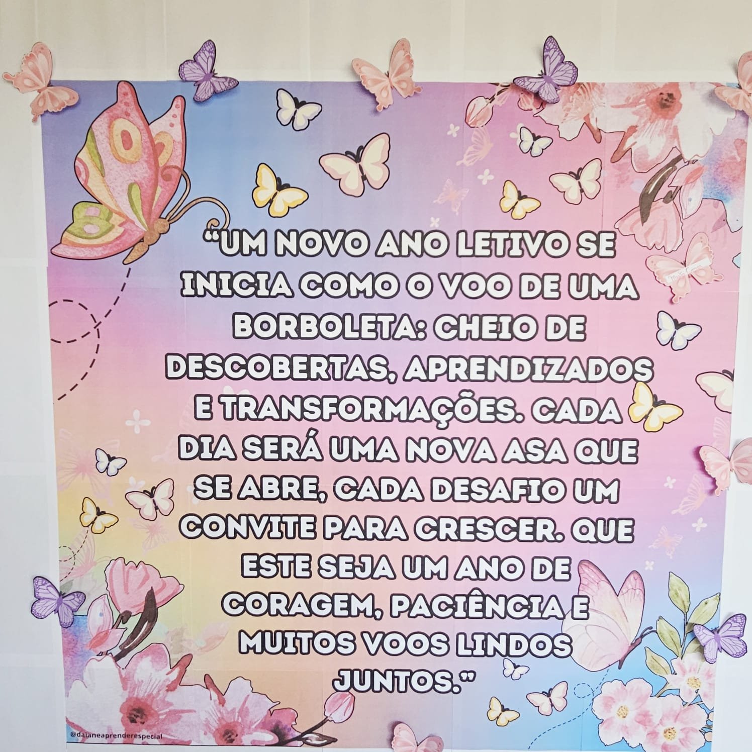 Borboletas Sejam Bem-Vindos Painel e Dinâmica - Imagem 2